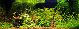 076 . 100x40x40