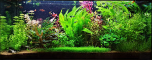 068 . 240 L 120X50X40