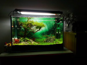 0690.   72 liter