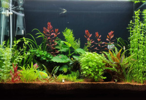 1110 . 70x27x45cm
