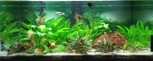 0280. 120x50x50 (300 liter)