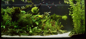 0660. 80 x 40 x 40 cm ( 128 liter)