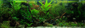 0870 . Diversa 160 liter 