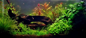 0102 . 40 Liter;