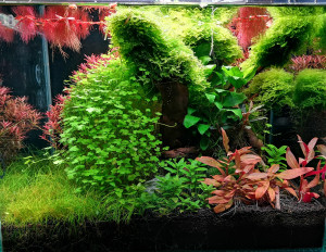 046 . 40x30x30