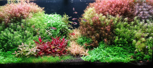 071. 100x40x45 cm