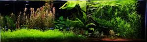 0121.  120x40x40 cm 
